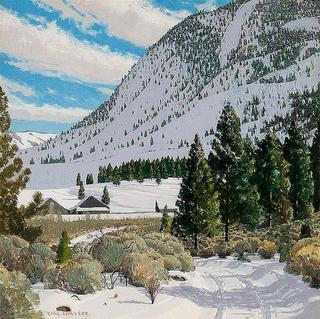 Colorado Mountainside