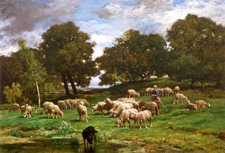Shepherdess and Her Flock