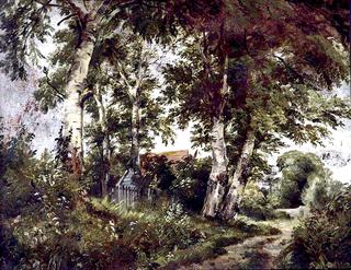 A Country Lane