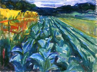 Cabbage Field