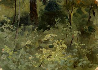 Woodland