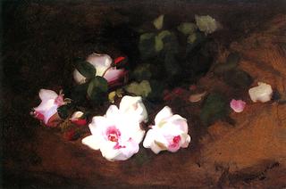 Still Life of Pink Roses