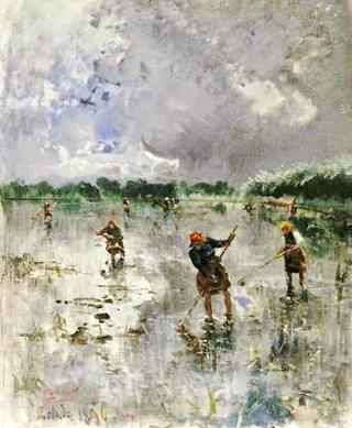 Women Working In Rice Fields