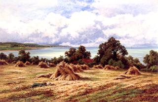 Harvest Time - on the Sussex Coast