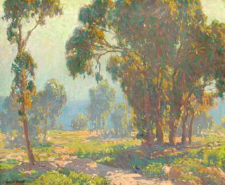 Morning Light