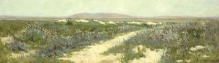 Alameda Marshes