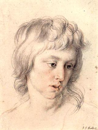 Portrait of boy