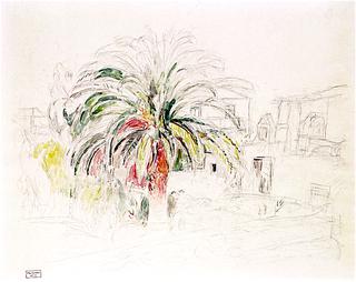 Palm Tree in Porto d'Ischia
