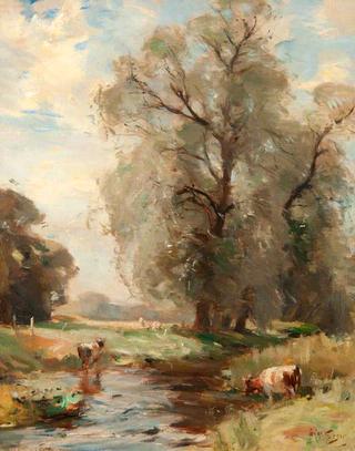 Cattle at River