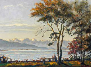 View from Schachen over Lake Constance on a Spring Day