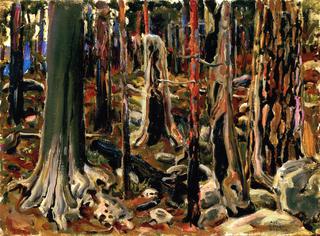 Burnt Forest