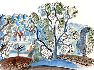 Olive Trees in Provence