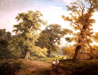 Woodland Scene