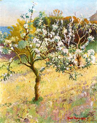 Apple Blossom