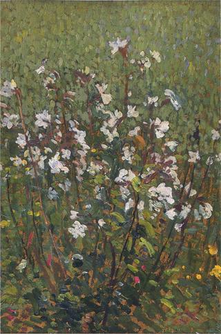 White flowers in the field