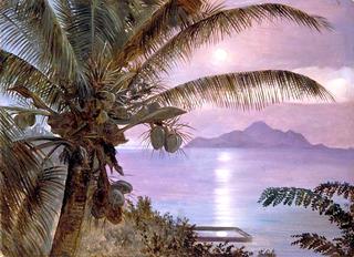 Moon Reflected in a Turtle Pool, Seychelles