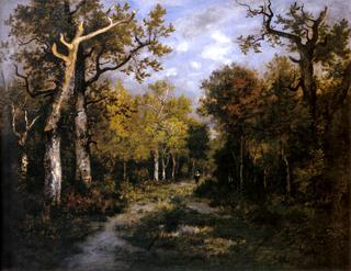 Forêt de Fontainbleau