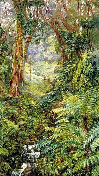 Valley of Ferns near Rungaroon, India