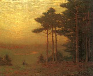 Golden Sunset