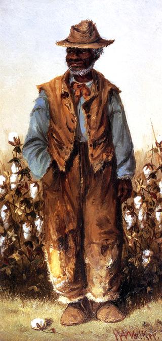 Negro Man in Cotton Field