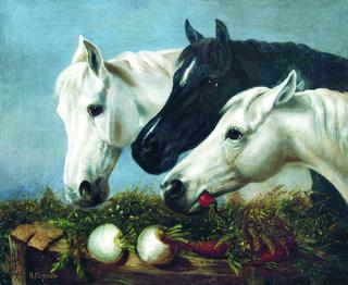 Horses' Treat