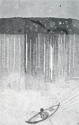 Starry Night on the Fjord