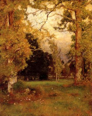 Late Afternoon