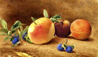 Study of Fruit