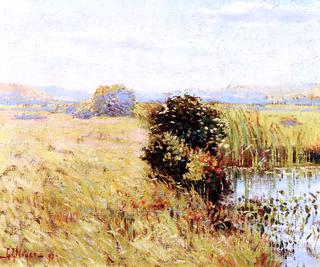 Summer Marsh View