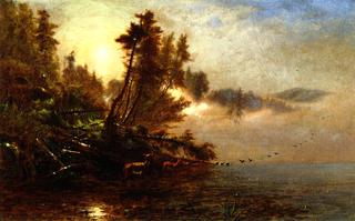 A Tranquil Morning