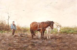 Ploughing in the Field