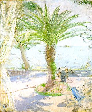 The Window: View of the Terrace with Palm Tree