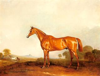 A Chestnut Hunter in a Landscape