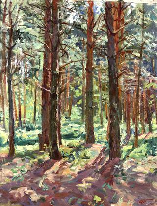 Pine Trees
