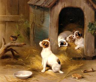 The Puppies
