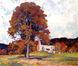 Autumn Hillside & My Studio