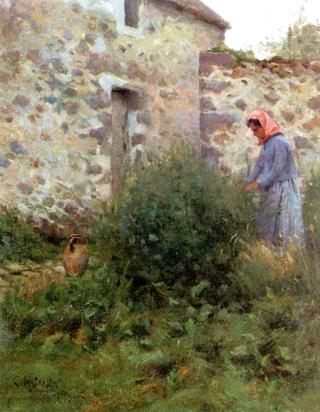 A Quiet Corner