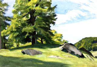 Sugar Maple