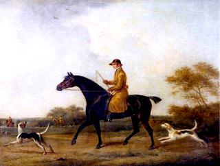 A Chestnut Hunter
