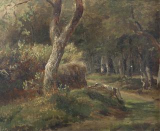 Forest Path