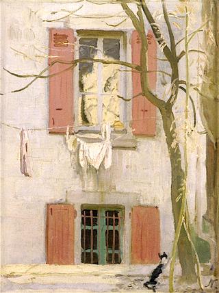 The Cat