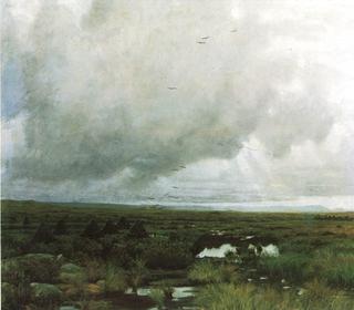 Peat Bog