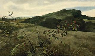 Blackberry Picker