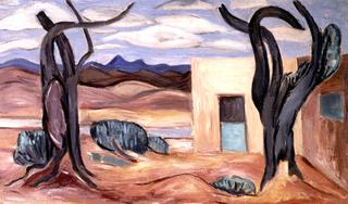 New Mexico Landscape