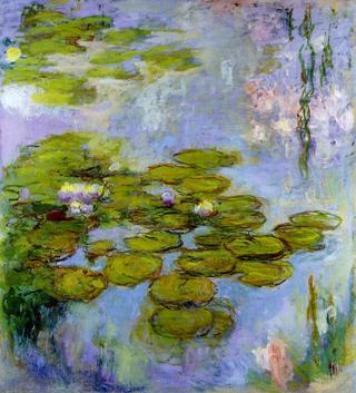 Water-Lilies