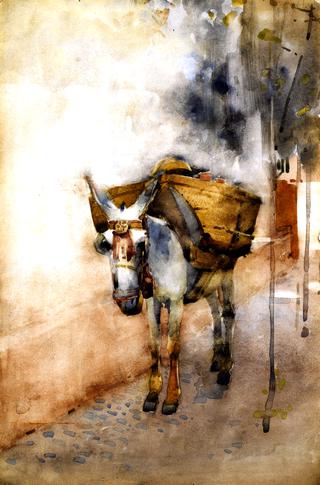 The Arab Donkey