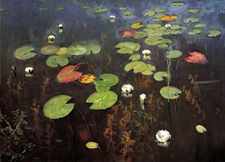 Water lilies