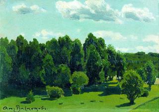 Summer Landscape
