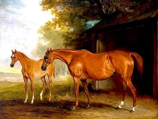 Defiance, a Brood Mare, with Reveller, a Foal