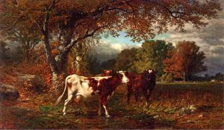 Cows in a Field